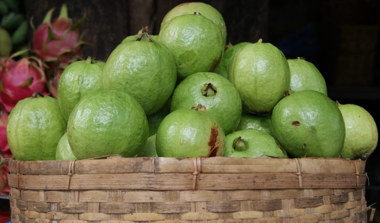 Why Guavas are Good for Health