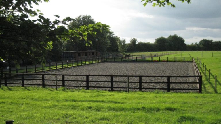 Understanding the elements of Horse Arena Base